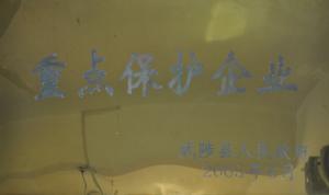 ***保護(hù)企業(yè)